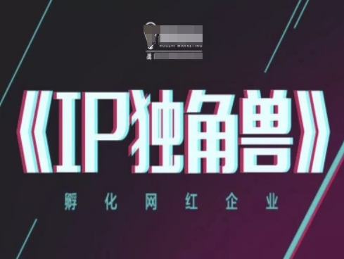IP独角兽，孵化网红企业，ip教程智小邦项目网-专注分享网络创业项目落地实操课程 – 全网首发_高质量创业项目输出智小邦项目网