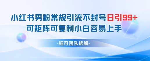 小红书男粉常规引流不封号日引99+变现简单 可矩阵可复制小白容易上手智小邦项目网-专注分享网络创业项目落地实操课程 – 全网首发_高质量创业项目输出智小邦项目网