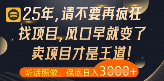 什么？25年你还在疯狂找项目做，醒醒吧，看完这些你全都懂了【揭秘】智小邦项目网-专注分享网络创业项目落地实操课程 – 全网首发_高质量创业项目输出智小邦项目网
