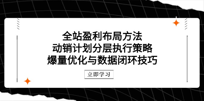 全站盈利布局方法：动销计划分层执行策略，爆量优化与数据闭环技巧智小邦项目网-专注分享网络创业项目落地实操课程 – 全网首发_高质量创业项目输出智小邦项目网