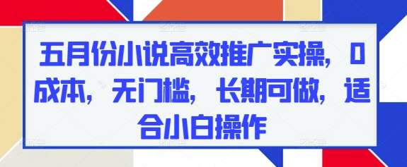 五月份小说高效推广实操，0成本，无门槛，长期可做，适合小白操作智小邦项目网-专注分享网络创业项目落地实操课程 – 全网首发_高质量创业项目输出智小邦项目网