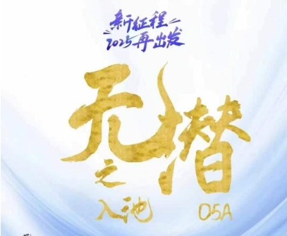 无潜不起全域入池方法论，​2025再出发，全程干货满满，带你掌握全域入池关键技巧智小邦项目网-专注分享网络创业项目落地实操课程 – 全网首发_高质量创业项目输出智小邦项目网