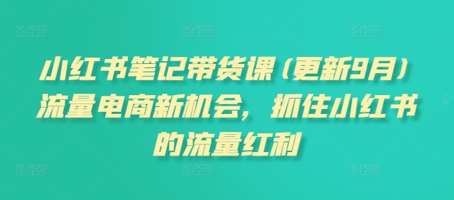 小红书笔记带货课(更新25年4月)流量电商新机会，抓住小红书的流量红利智小邦项目网-专注分享网络创业项目落地实操课程 – 全网首发_高质量创业项目输出智小邦项目网