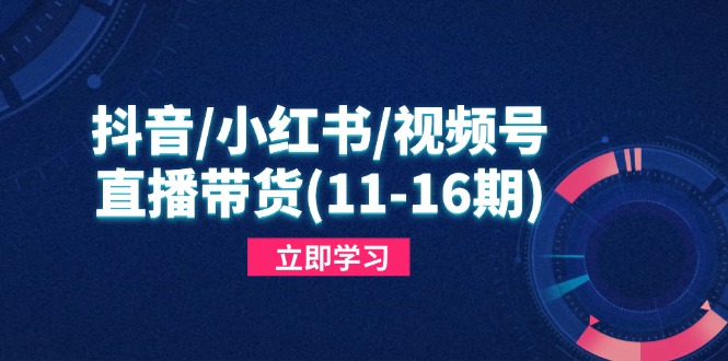 抖音/小红书/视频号/直播带货(11-16期智小邦项目网-专注分享网络创业项目落地实操课程 – 全网首发_高质量创业项目输出智小邦项目网