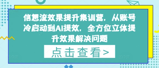 信息流效果提升集训营，从账号冷启动到AI提效，全方位立体提升效果解决问题智小邦项目网-专注分享网络创业项目落地实操课程 – 全网首发_高质量创业项目输出智小邦项目网