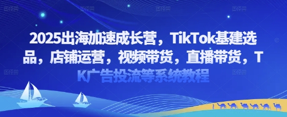 2025出海加速成长营，TikTok基建选品，店铺运营，视频带货，直播带货，TK广告投流等系统教程智小邦项目网-专注分享网络创业项目落地实操课程 – 全网首发_高质量创业项目输出智小邦项目网