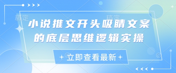 小说推文开头吸睛文案的底层思维逻辑实操智小邦项目网-专注分享网络创业项目落地实操课程 – 全网首发_高质量创业项目输出智小邦项目网